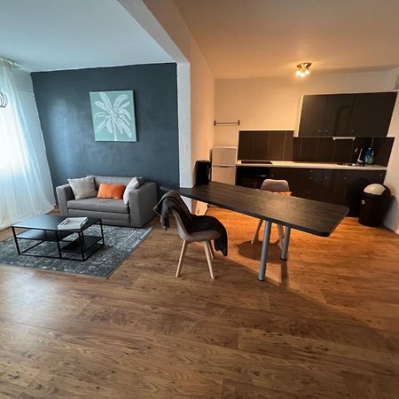 Mon Palmier Grand Appartement Parking Un-Sejour-A-Part メス エクステリア 写真
