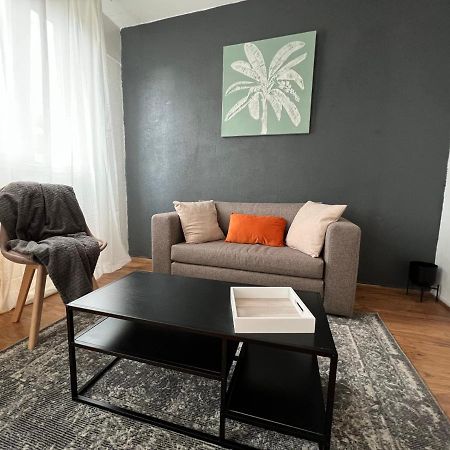 Mon Palmier Grand Appartement Parking Un-Sejour-A-Part メス エクステリア 写真