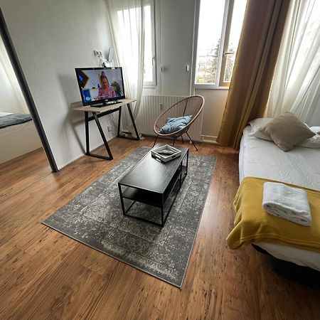 Mon Palmier Grand Appartement Parking Un-Sejour-A-Part メス エクステリア 写真