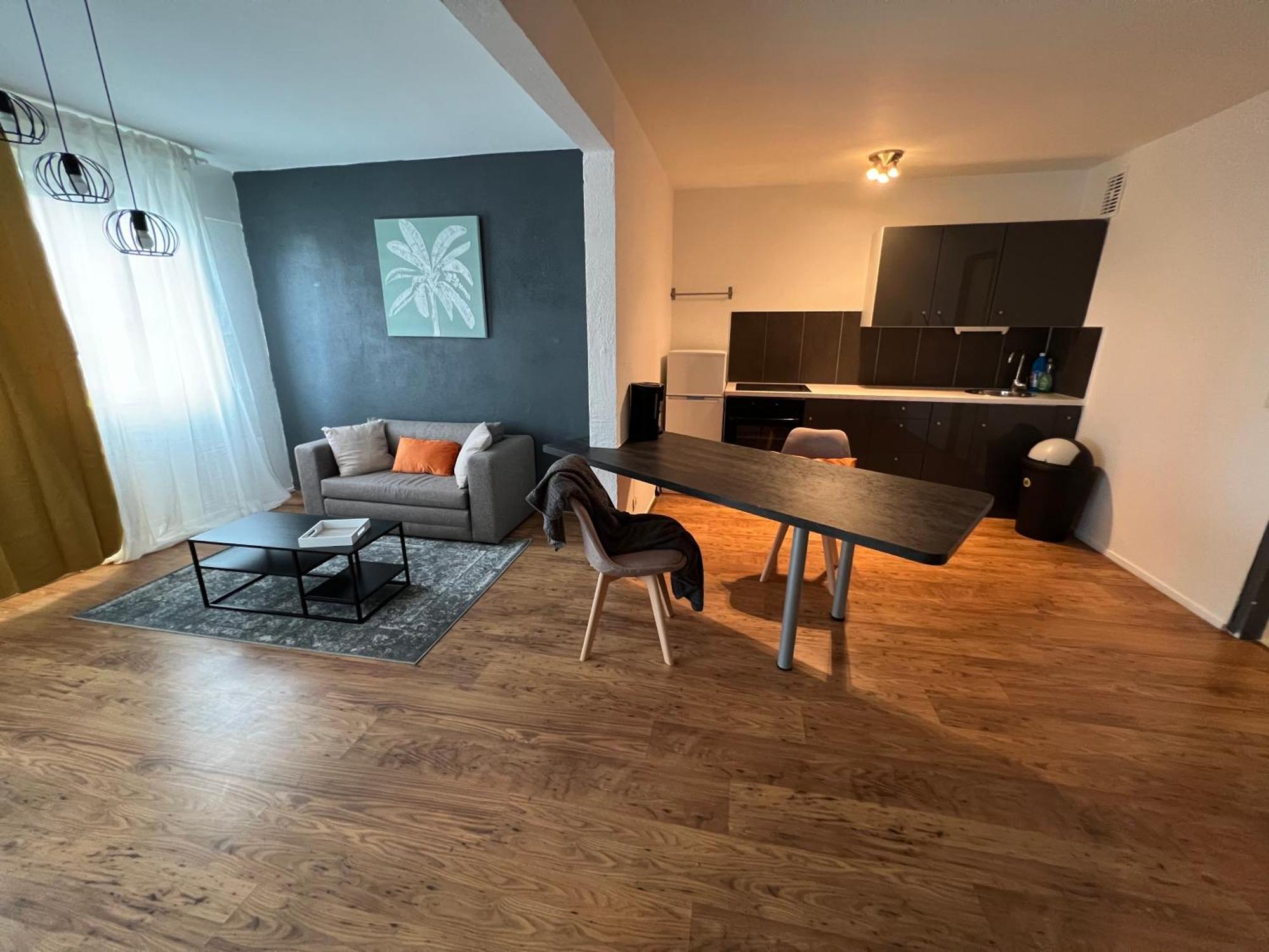 Mon Palmier Grand Appartement Parking Un-Sejour-A-Part メス エクステリア 写真