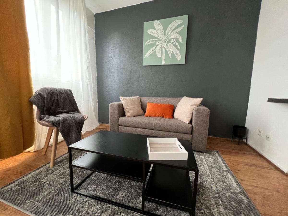 Mon Palmier Grand Appartement Parking Un-Sejour-A-Part メス エクステリア 写真