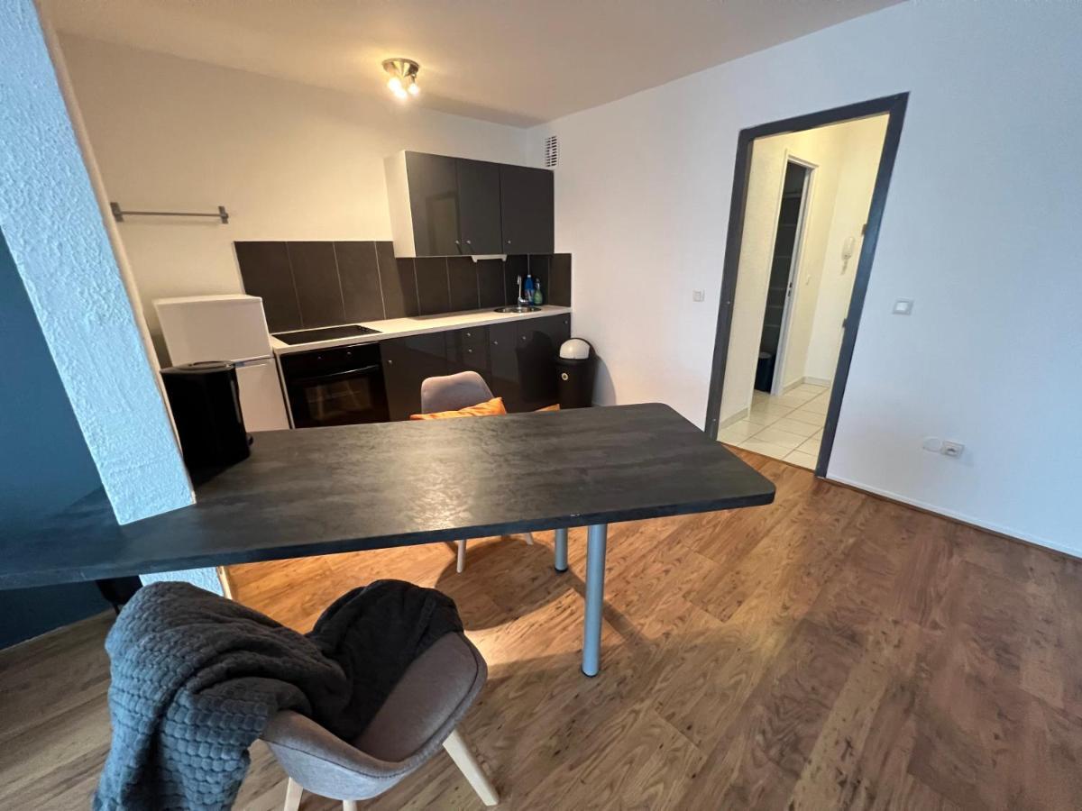 Mon Palmier Grand Appartement Parking Un-Sejour-A-Part メス エクステリア 写真