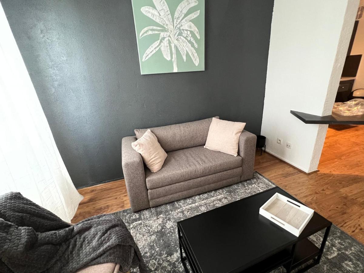 Mon Palmier Grand Appartement Parking Un-Sejour-A-Part メス エクステリア 写真