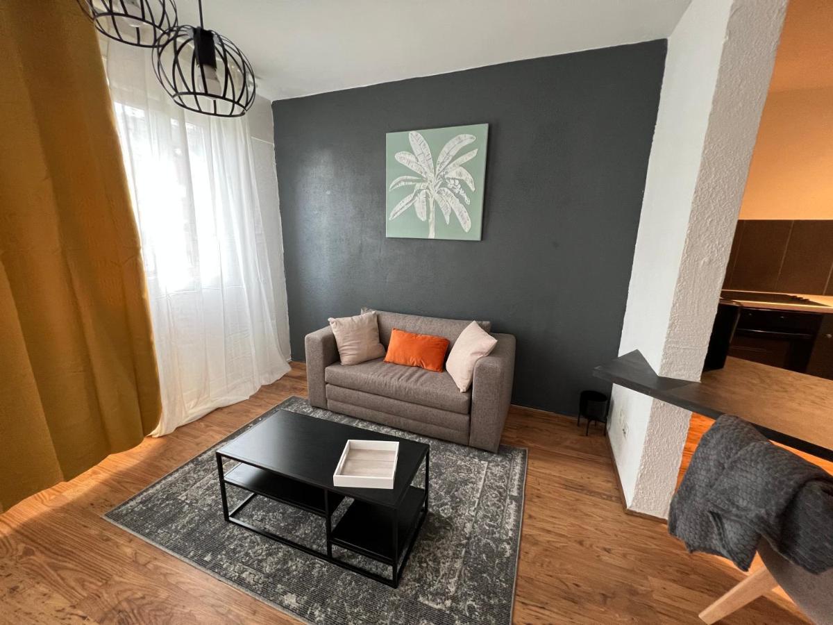 Mon Palmier Grand Appartement Parking Un-Sejour-A-Part メス エクステリア 写真