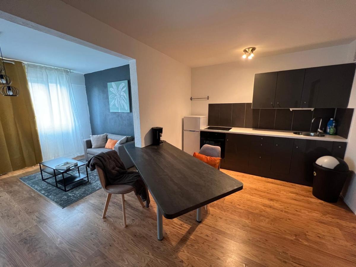 Mon Palmier Grand Appartement Parking Un-Sejour-A-Part メス エクステリア 写真
