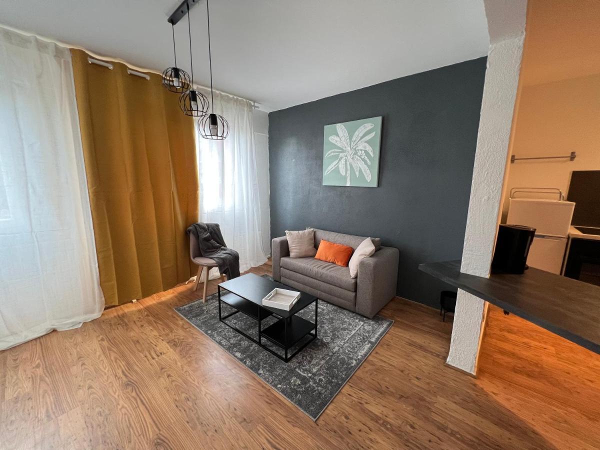 Mon Palmier Grand Appartement Parking Un-Sejour-A-Part メス エクステリア 写真
