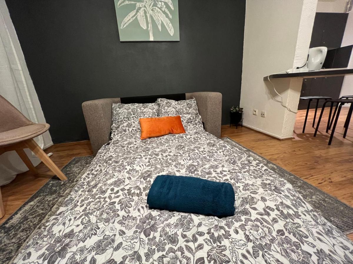 Mon Palmier Grand Appartement Parking Un-Sejour-A-Part メス エクステリア 写真