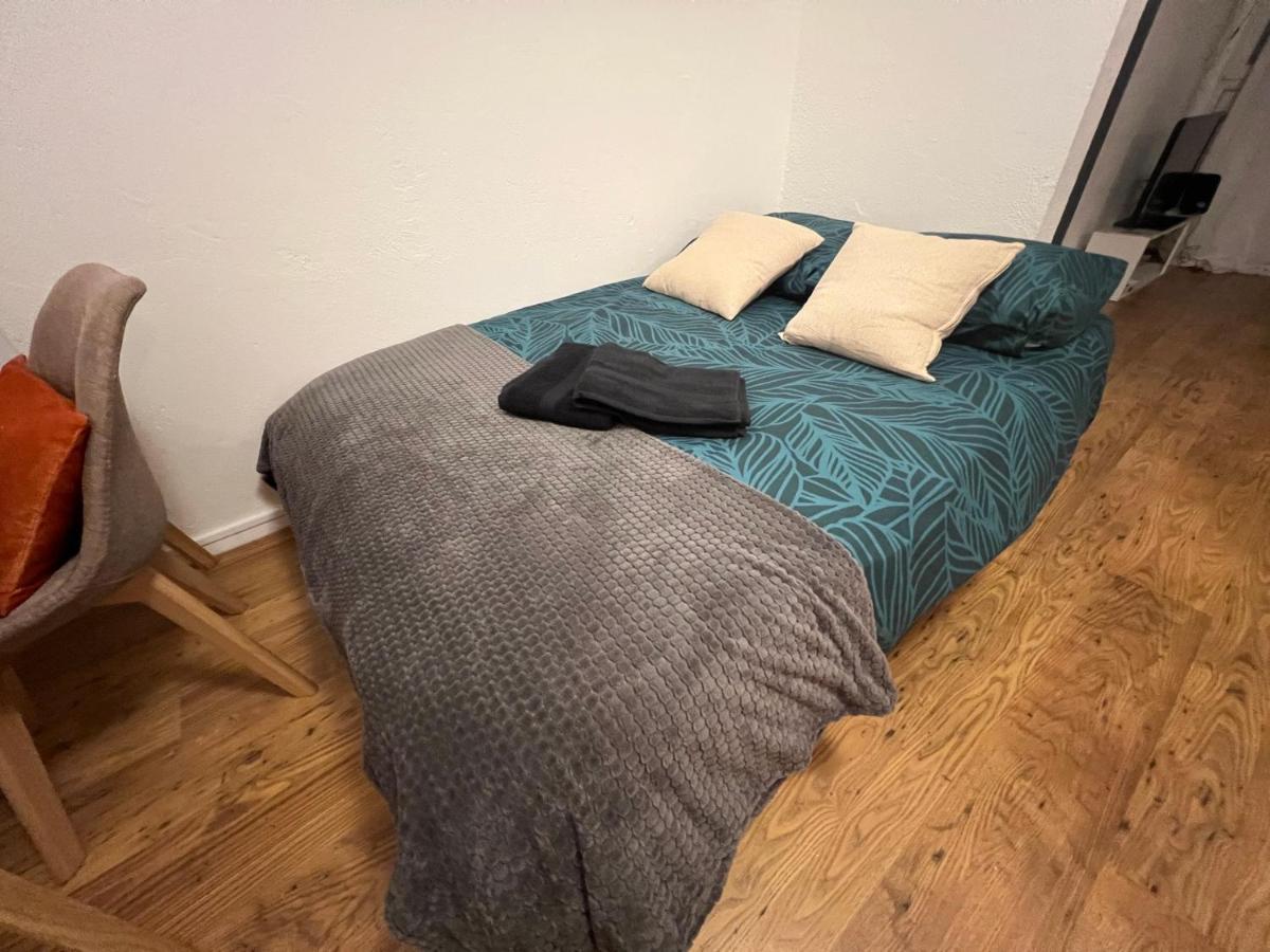 Mon Palmier Grand Appartement Parking Un-Sejour-A-Part メス エクステリア 写真