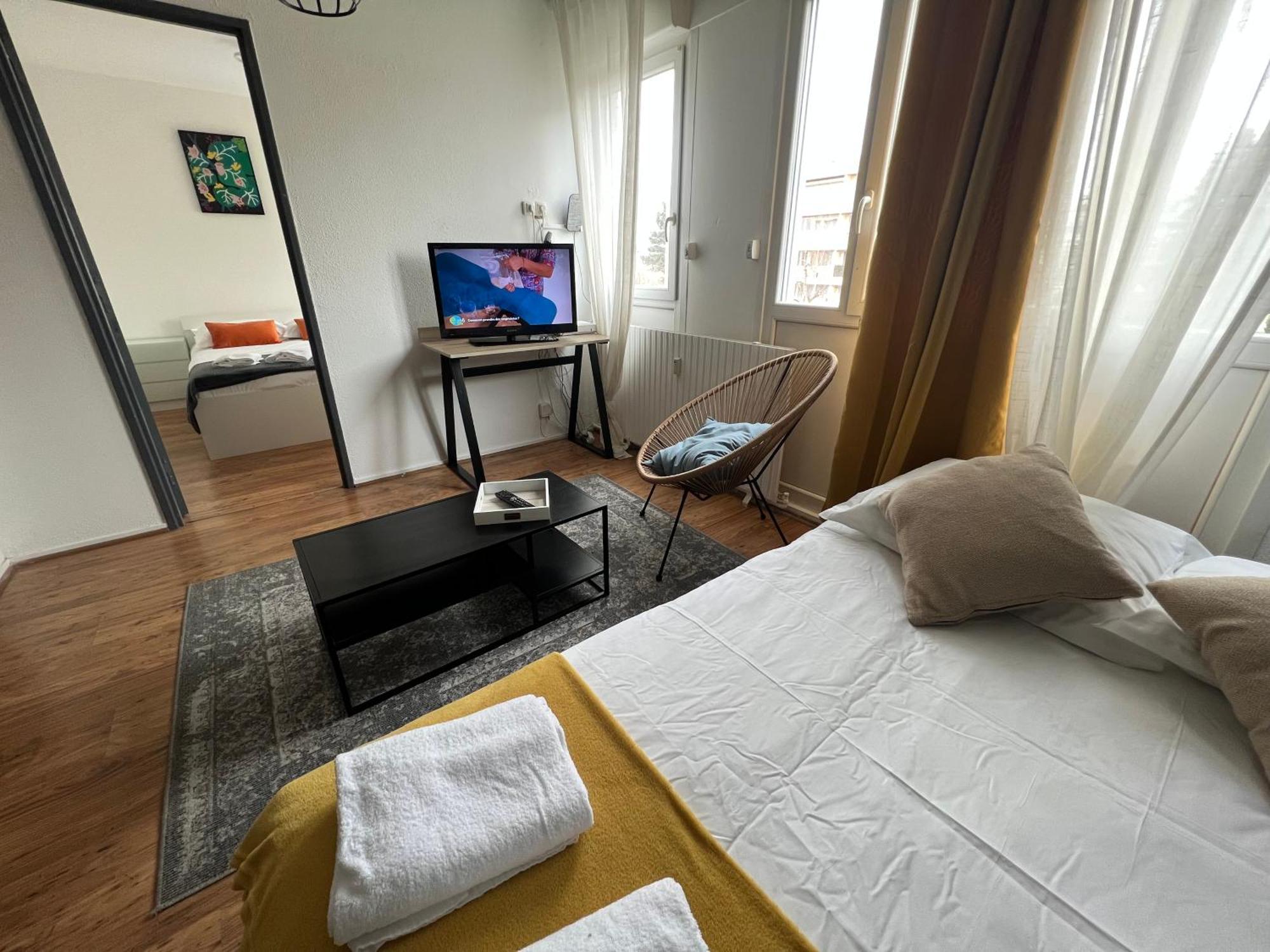 Mon Palmier Grand Appartement Parking Un-Sejour-A-Part メス エクステリア 写真