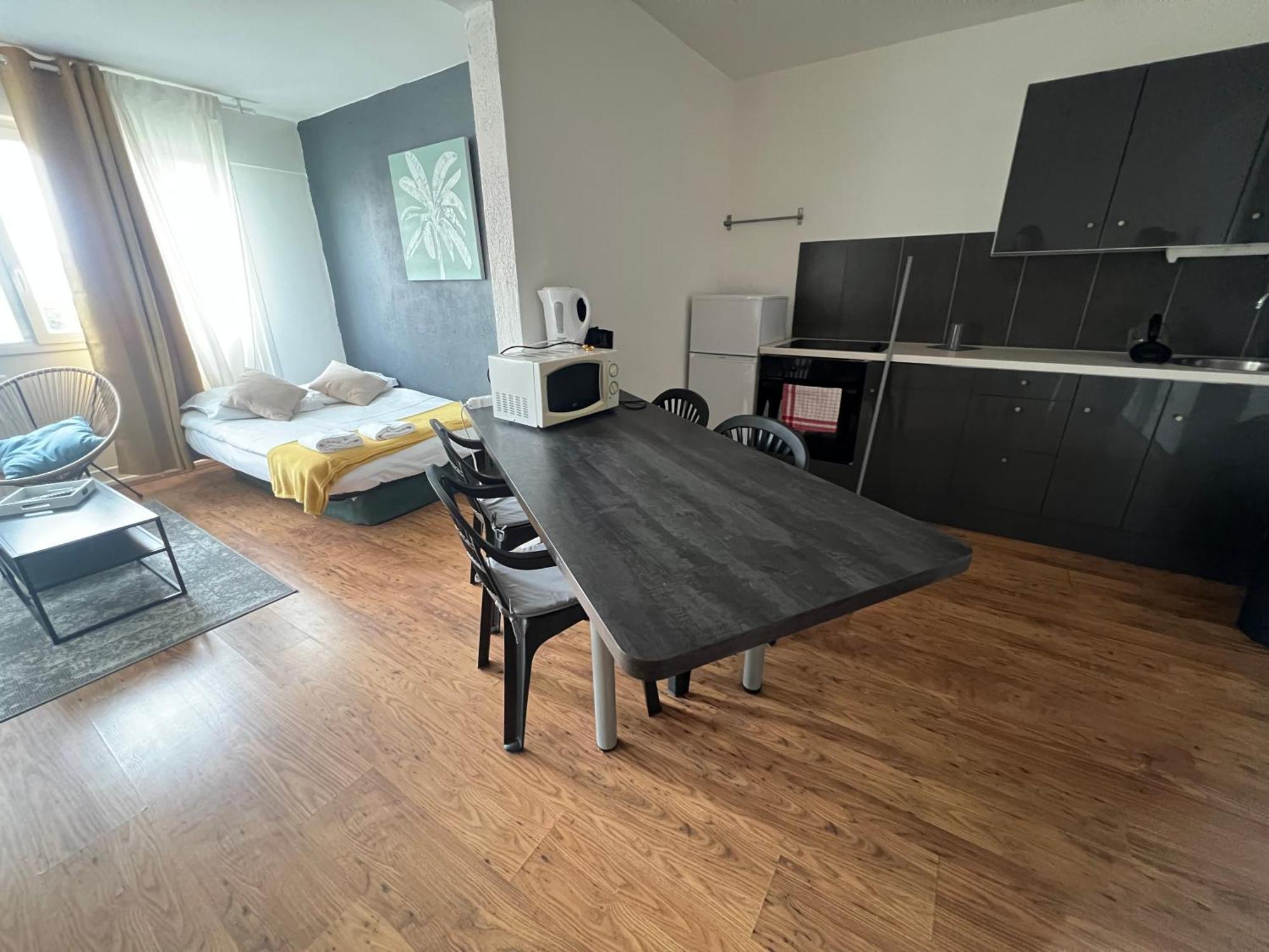 Mon Palmier Grand Appartement Parking Un-Sejour-A-Part メス エクステリア 写真