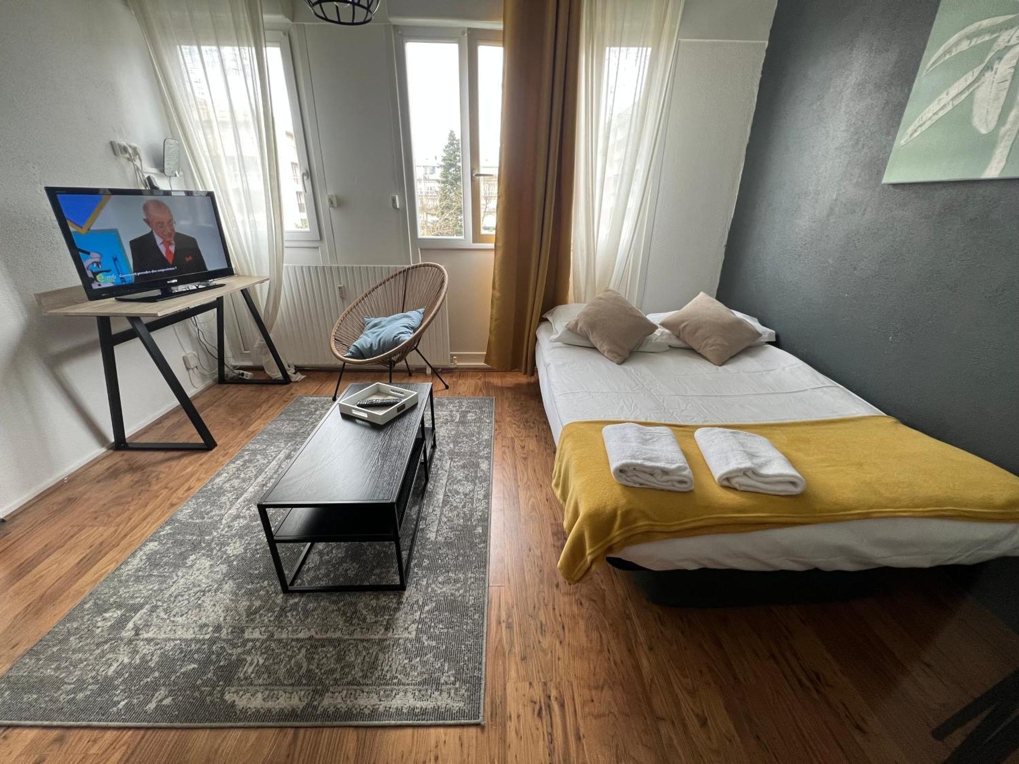 Mon Palmier Grand Appartement Parking Un-Sejour-A-Part メス エクステリア 写真
