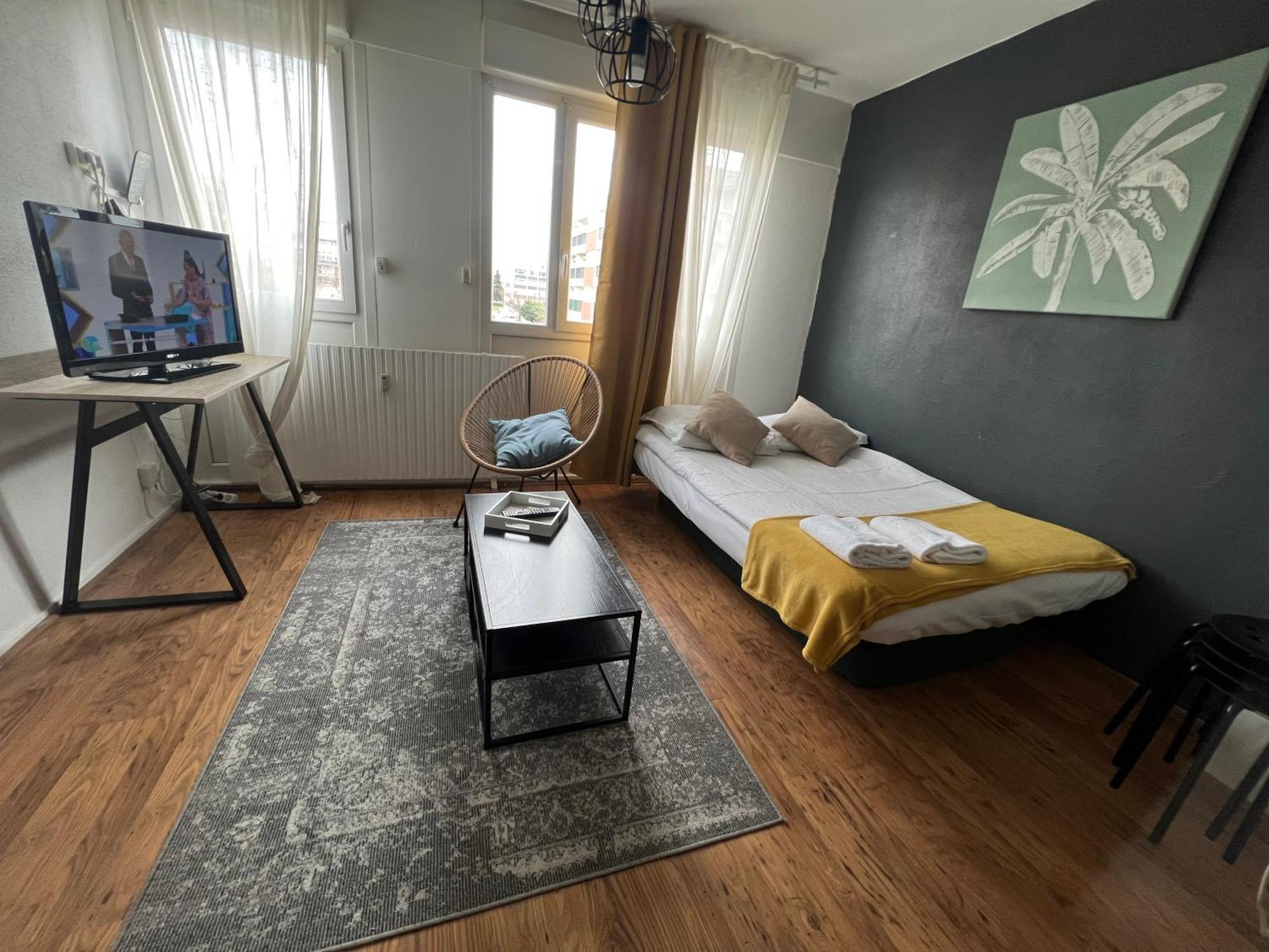 Mon Palmier Grand Appartement Parking Un-Sejour-A-Part メス エクステリア 写真